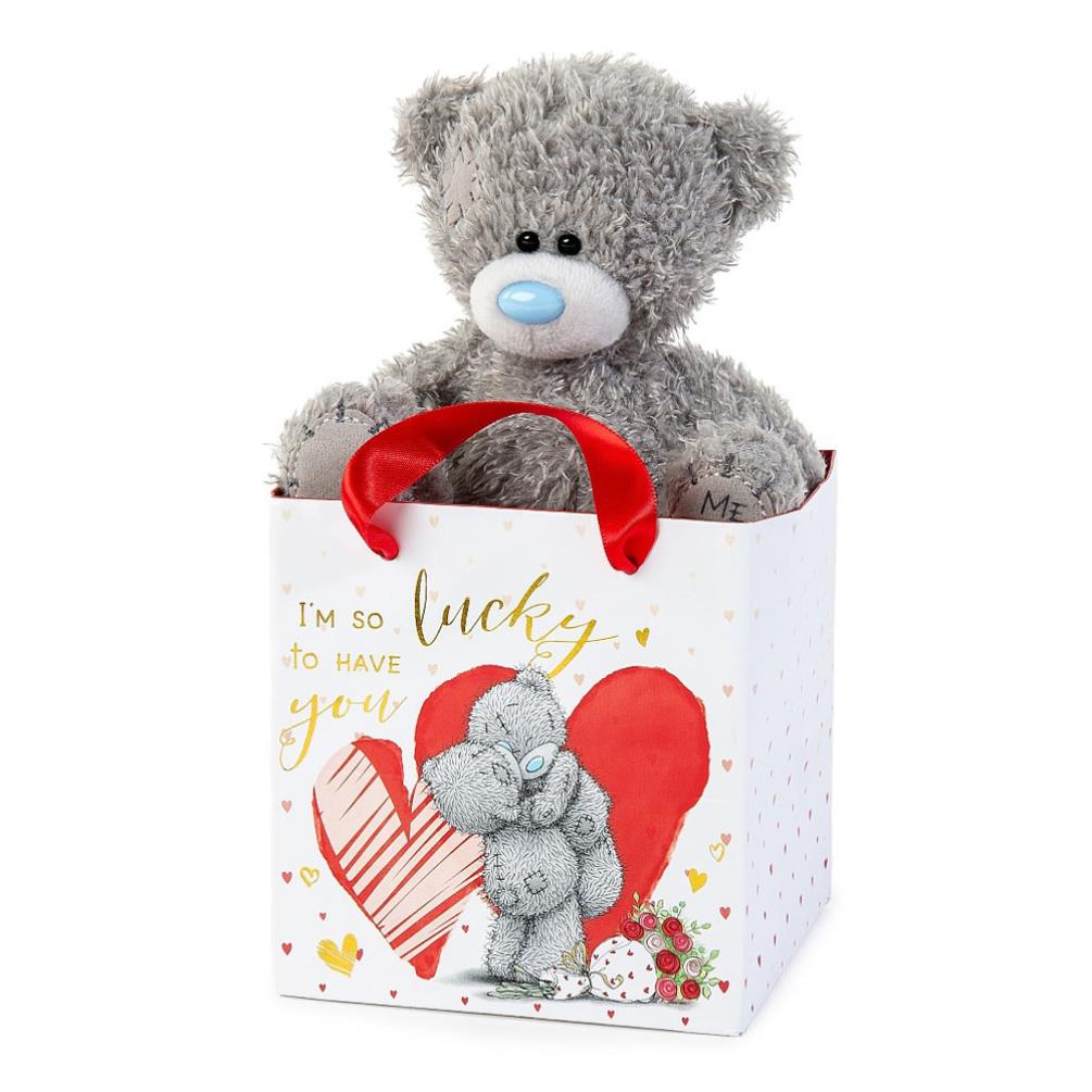 5" Lucky To Have You Me to You Bear In Bag Extra Image 1